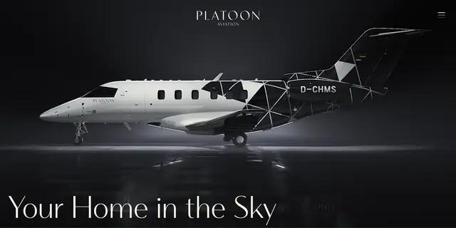 Platoon Aviation — project screenshot